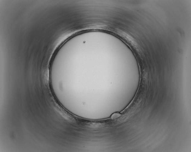 X0000112051324200908250950