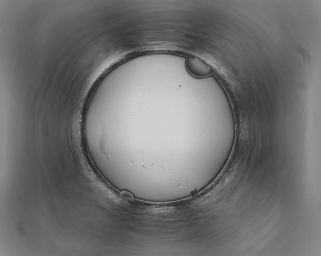 X0000112051325200908250950