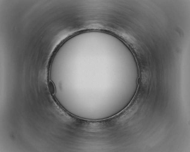 X0000112051326200908250950