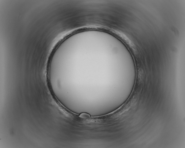 X0000112051327200908250950