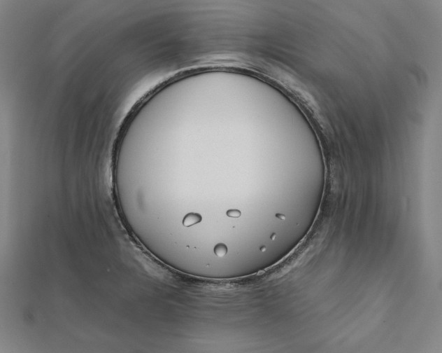 X0000112051328200908250950