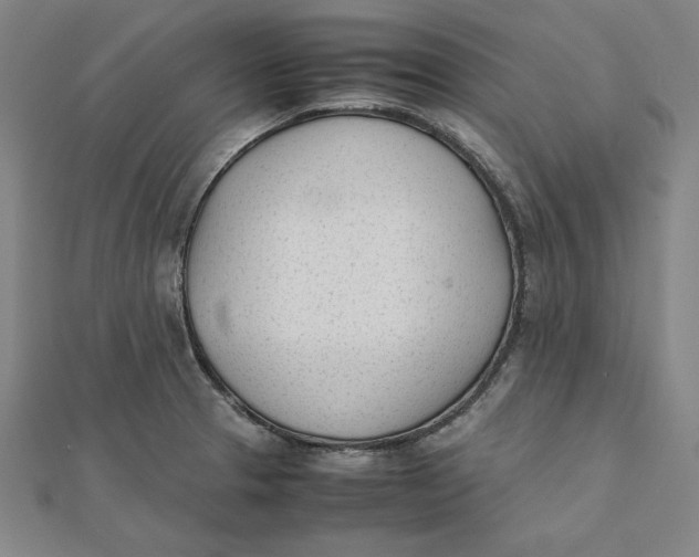 X0000112051329200908250950