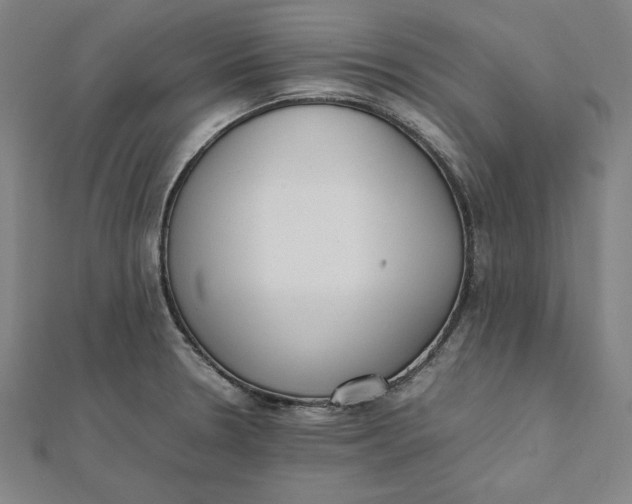 X0000112051330200908250950