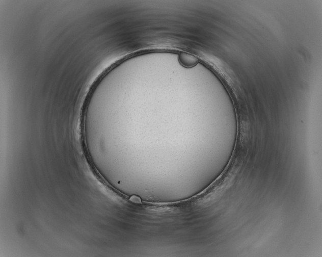 X0000112051331200908250950