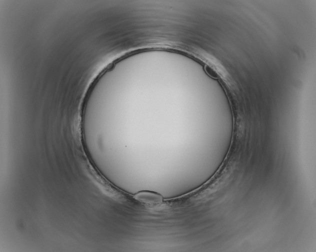 X0000112051332200908250950