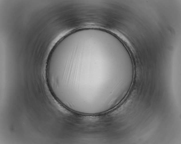 X0000112051333200908250950