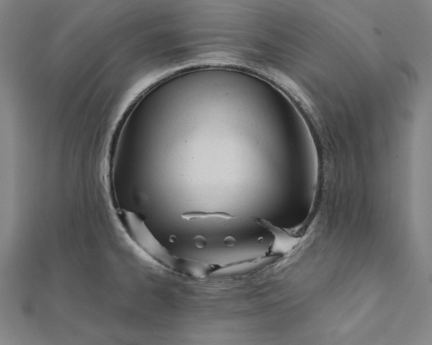 X0000112051334200908250950