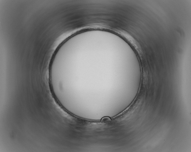 X0000112051335200908250950