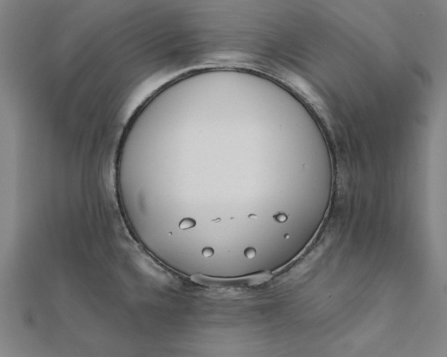 X0000112051336200908250950