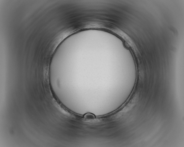 X0000112051337200908250950