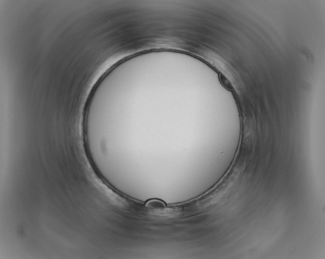 X0000112051339200908250950