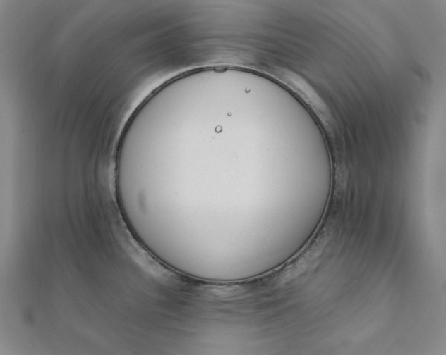 X0000112051340200908250950