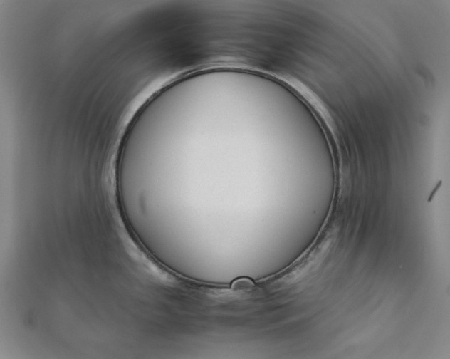 X0000112051341200908250950