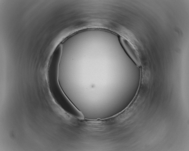 X0000112051342200908250950