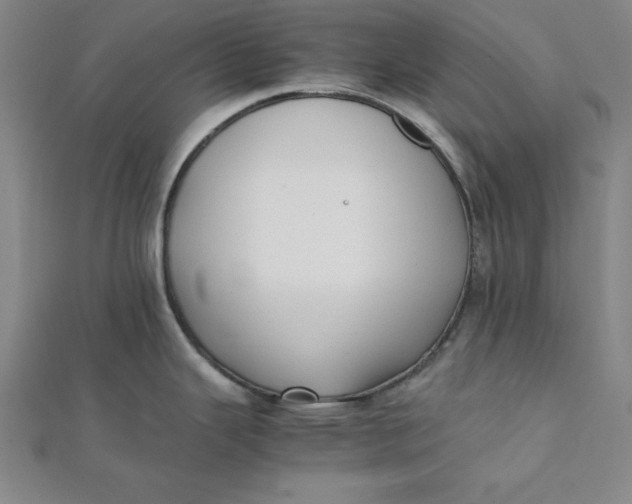 X0000112051343200908250950