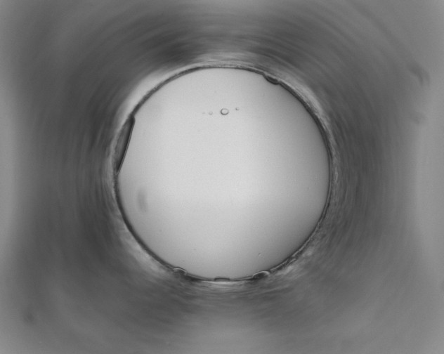 X0000112051344200908250950