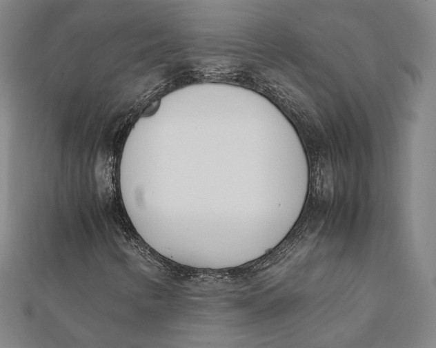 X0000112051346200908250949