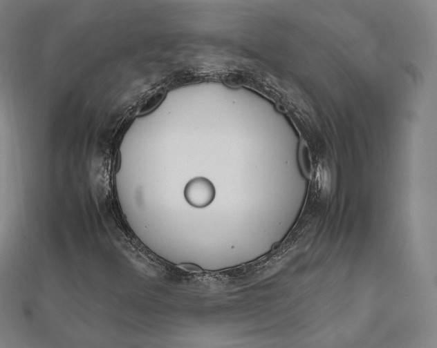 X0000112051348200908250949