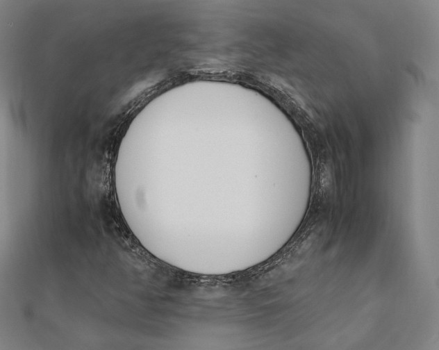 X0000112051350200908250949