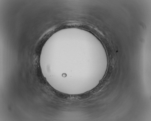 X0000112051351200908250949