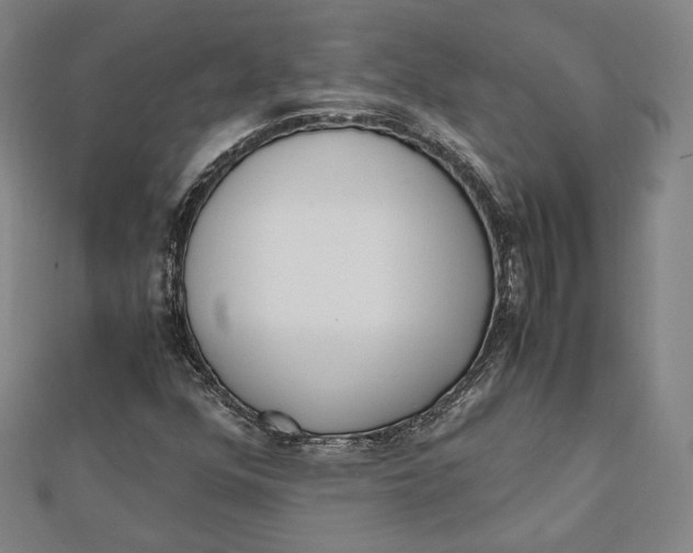 X0000112051352200908250949