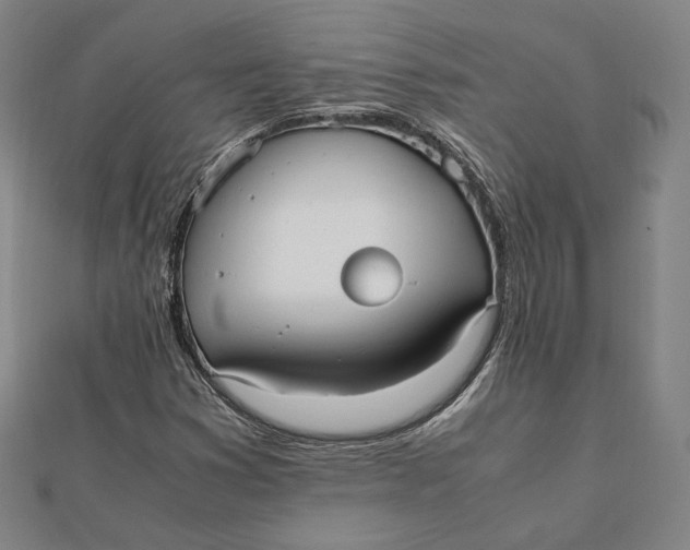 X0000112051353200908250949