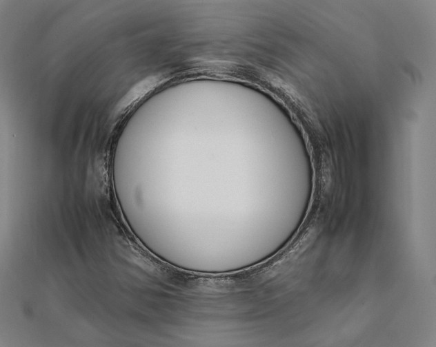 X0000112051354200908250949