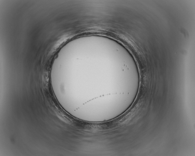 X0000112051355200908250949