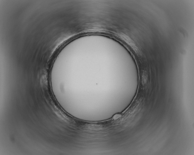 X0000112051356200908250949