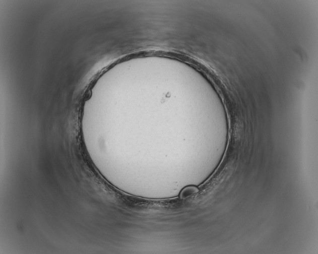 X0000112051359200908250949