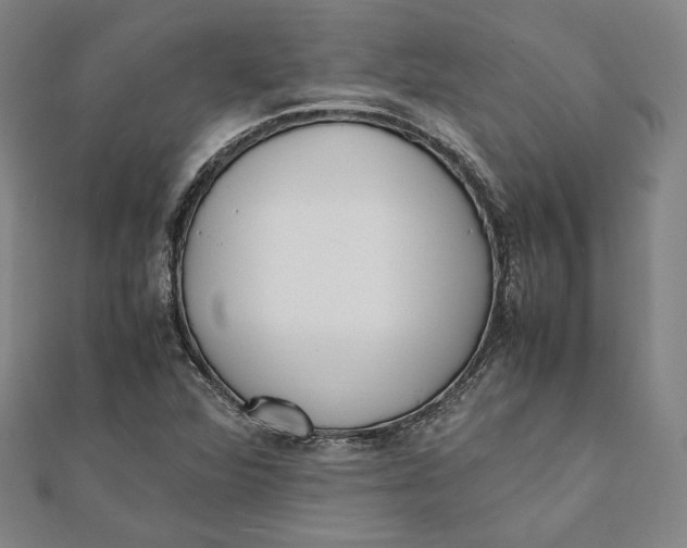 X0000112051360200908250949