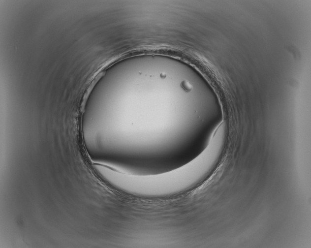 X0000112051361200908250949