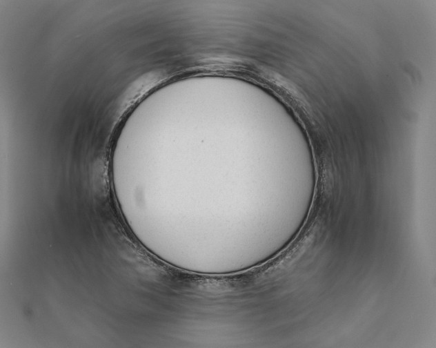 X0000112051362200908250949