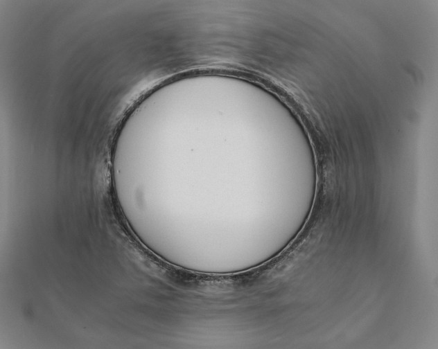 X0000112051363200908250949