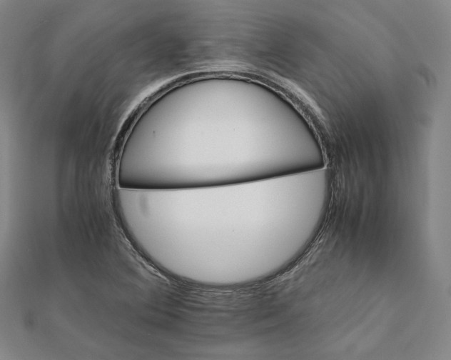 X0000112051364200908250949