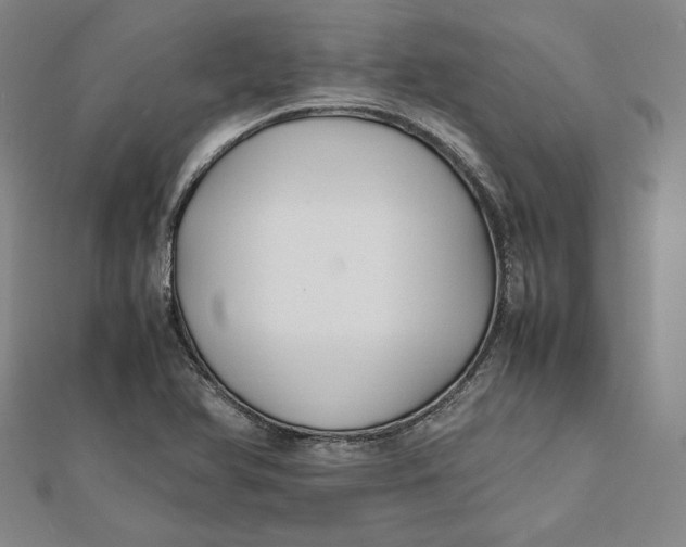 X0000112051366200908250949