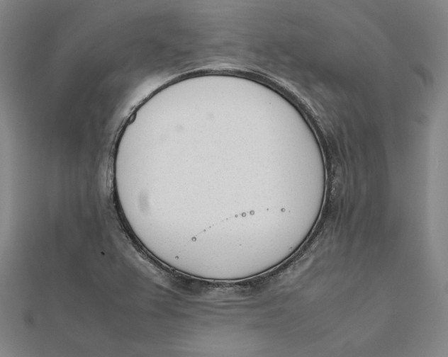 X0000112051367200908250949