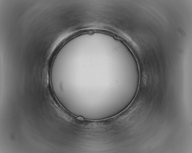 X0000112051368200908250949