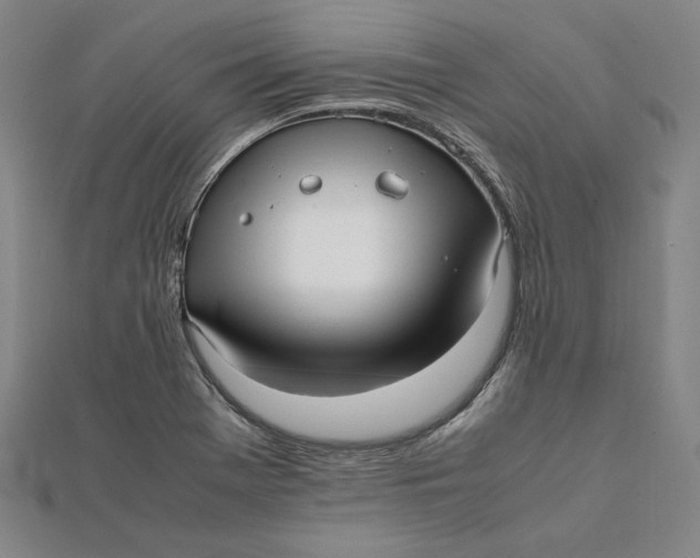 X0000112051369200908250949