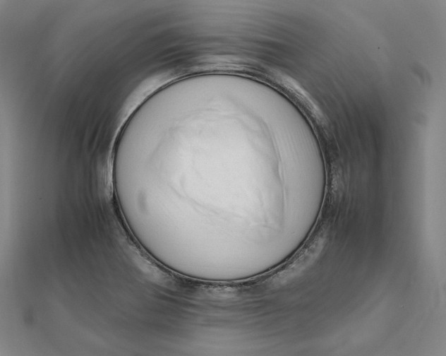 X0000112051370200908250949