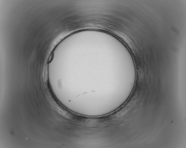 X0000112051371200908250949