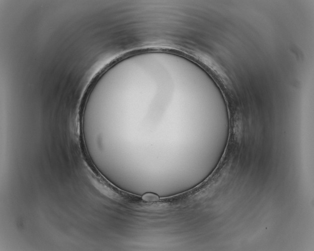 X0000112051372200908250949