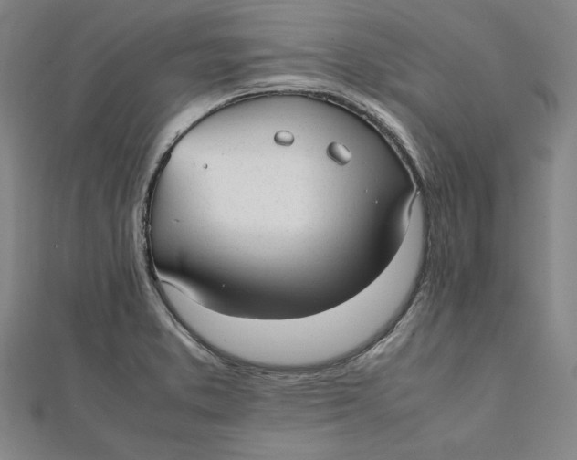 X0000112051373200908250949