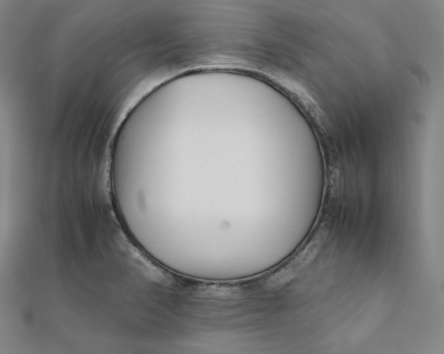 X0000112051374200908250949