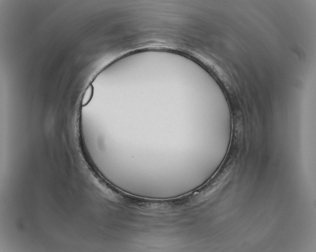 X0000112051375200908250948