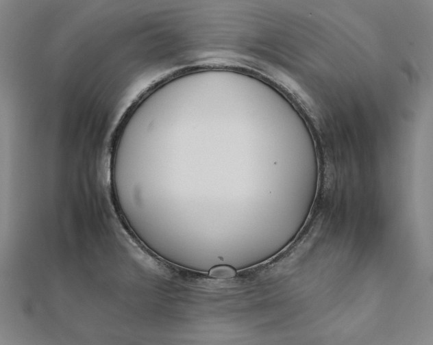 X0000112051376200908250948