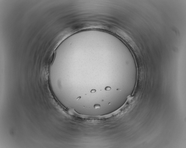 X0000112051377200908250948