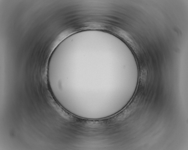 X0000112051378200908250948