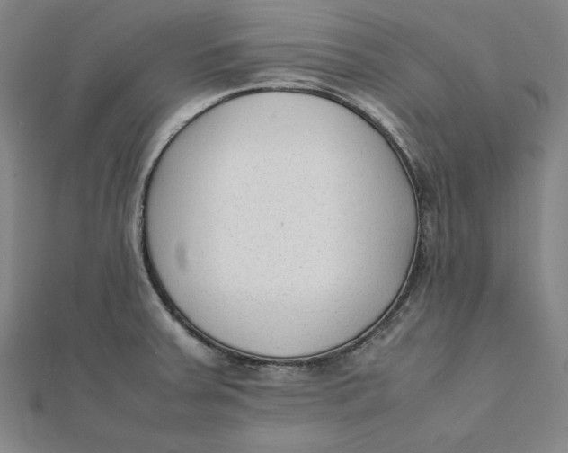 X0000112051379200908250948