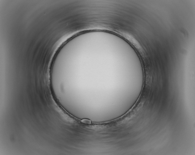 X0000112051380200908250948